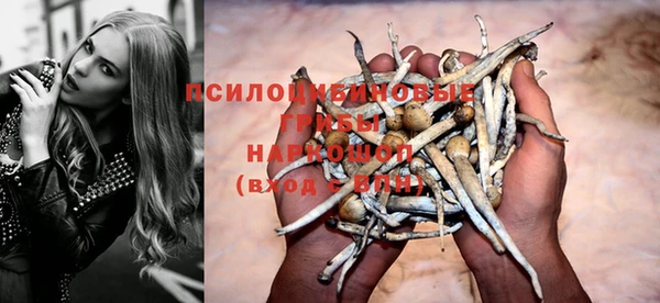 спиды Алексин