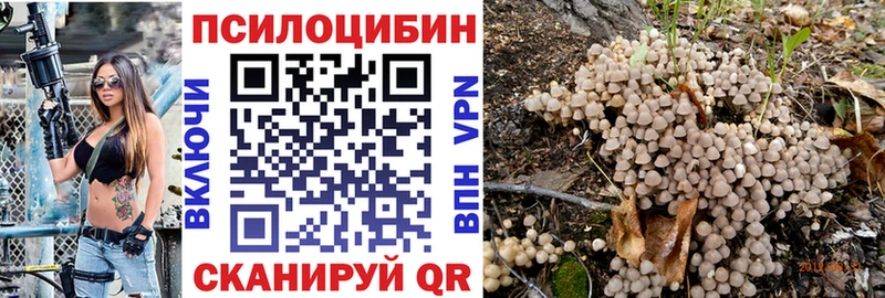 Галлюциногенные грибы Cubensis  Бобров 