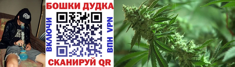 Бошки Шишки VHQ Бобров